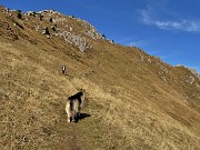 62 Dalla Baita Venturosa evvai per la la cima del Venturosa